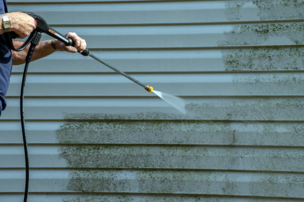 Best Driveway Pressure Washing  in South Sioux City, NE